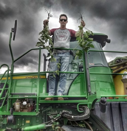 MARCELO RAUEN (FAZENDA VELHA)